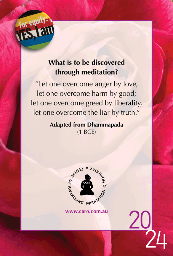What is to be discovered through meditation?
